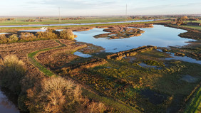 Tidepolder Coldemüntje (c) Gemeinde Westoverledingen